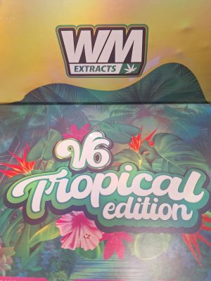 Whole Melt 2g Disposable Vape Pen