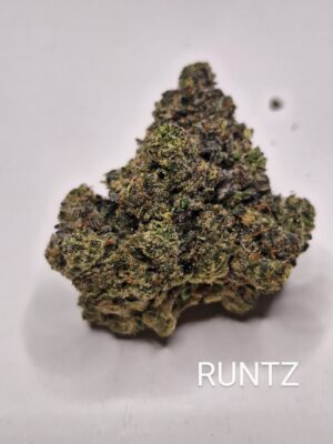 RUNTZ- TOP Shelf