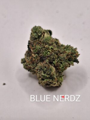 BLUE NERDS
