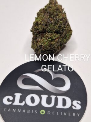 Lemon Cherry Gelato