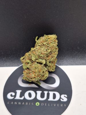 Sunset Sherbert