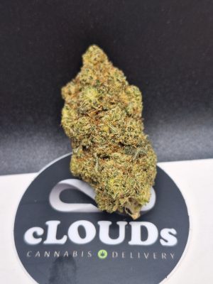 Gorilla Glue
