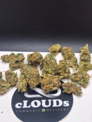 Lemon Cherry Melonz (bbudz)