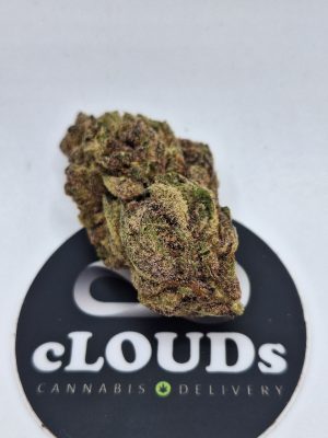 Tropicali