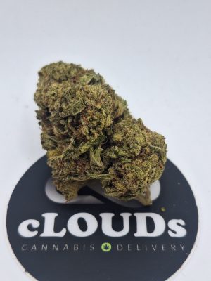 Mango Diesel
