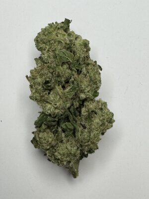 Gorilla Glue