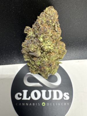 White Rhino