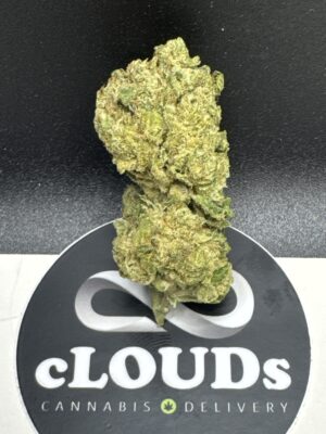 Sour Gas