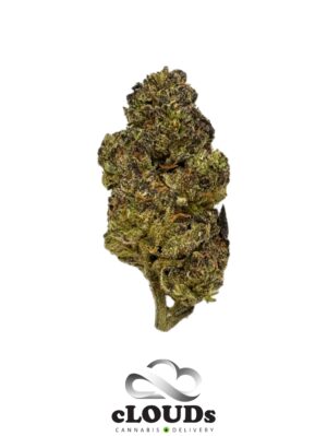 Cookies & Cream