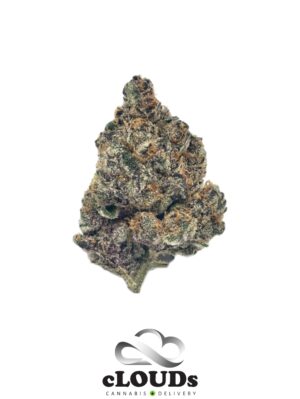 Lemon Punch