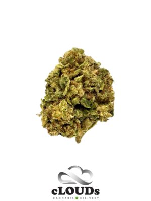 Purple Punch