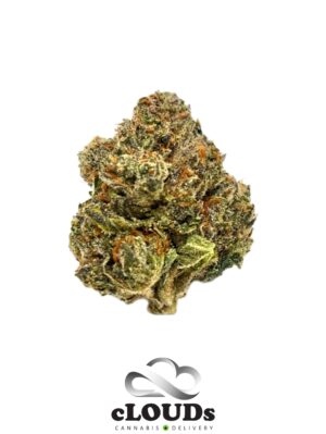 Lemon Cherry Gelato