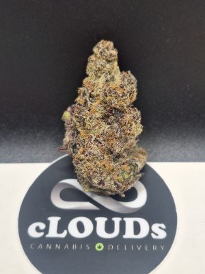 Purple Kush
