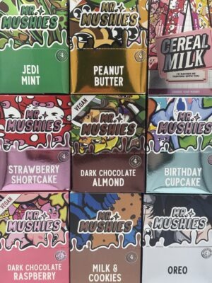 Mr. Mushies - 4g Chocolate Bars