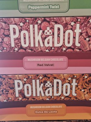 Polka Dot 5g Organic Chocolate Bars