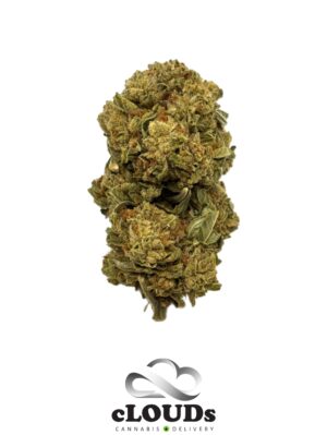 Sunset Sherbert