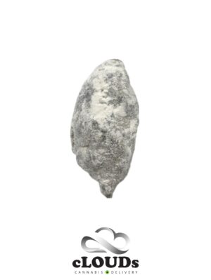 Spacerocks - Exotic Shelf Flower