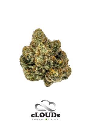 Maui Mist