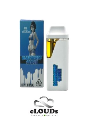 STIIM - Liquid Diamonds Disposable 2g - Blueberry Slush (I)