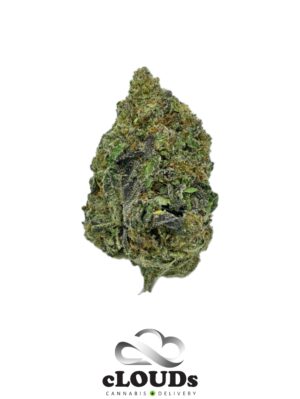 Gas Mask